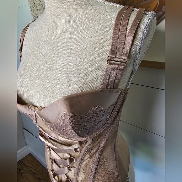 NWT Victoria’s Secret Lace-up Blush Ribbon Corset - Picture 4 of 8